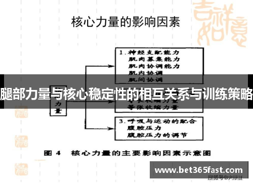 腿部力量与核心稳定性的相互关系与训练策略